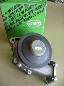 GRAPA294