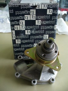 GRAPA446